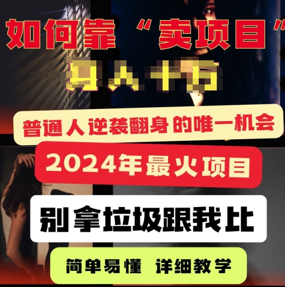 2024年最火项目，如何靠“卖项目”逆装翻身，简单易懂 详细教学 完整版5节课