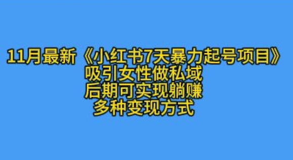 11月最新小红书7天暴力起号项目，吸引女性做私域【揭秘】