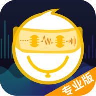 安卓语聊音频变声器v1.1.8绿化版